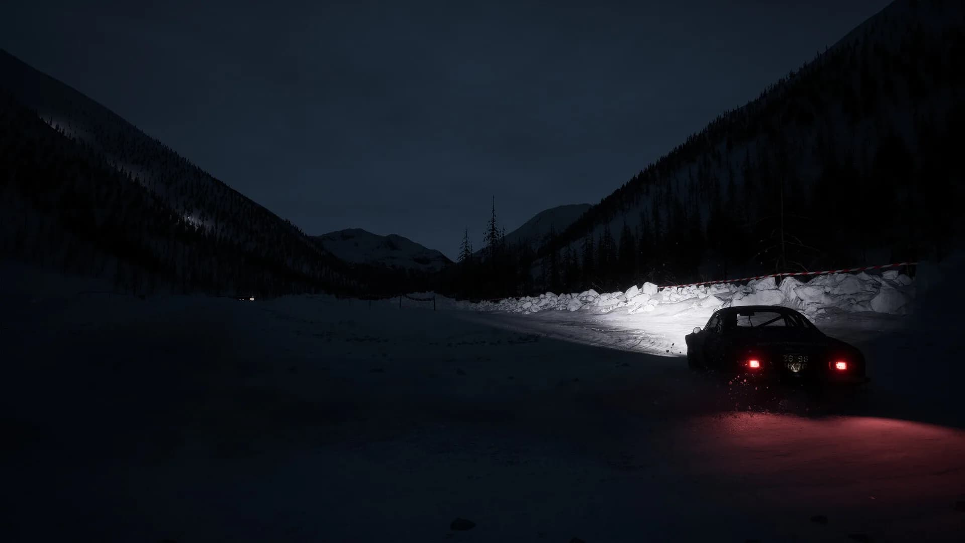 Assetto Corsa Rally görsel 31