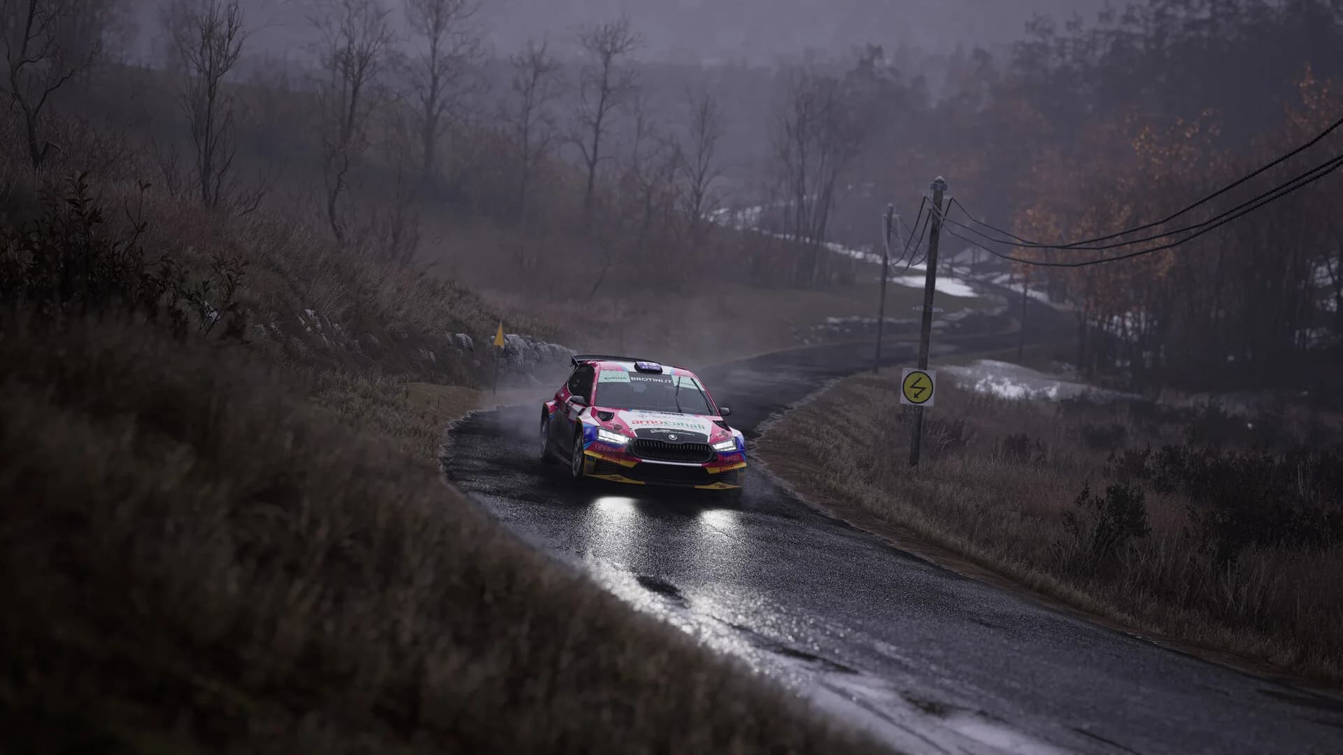 Assetto Corsa Rally görsel 6