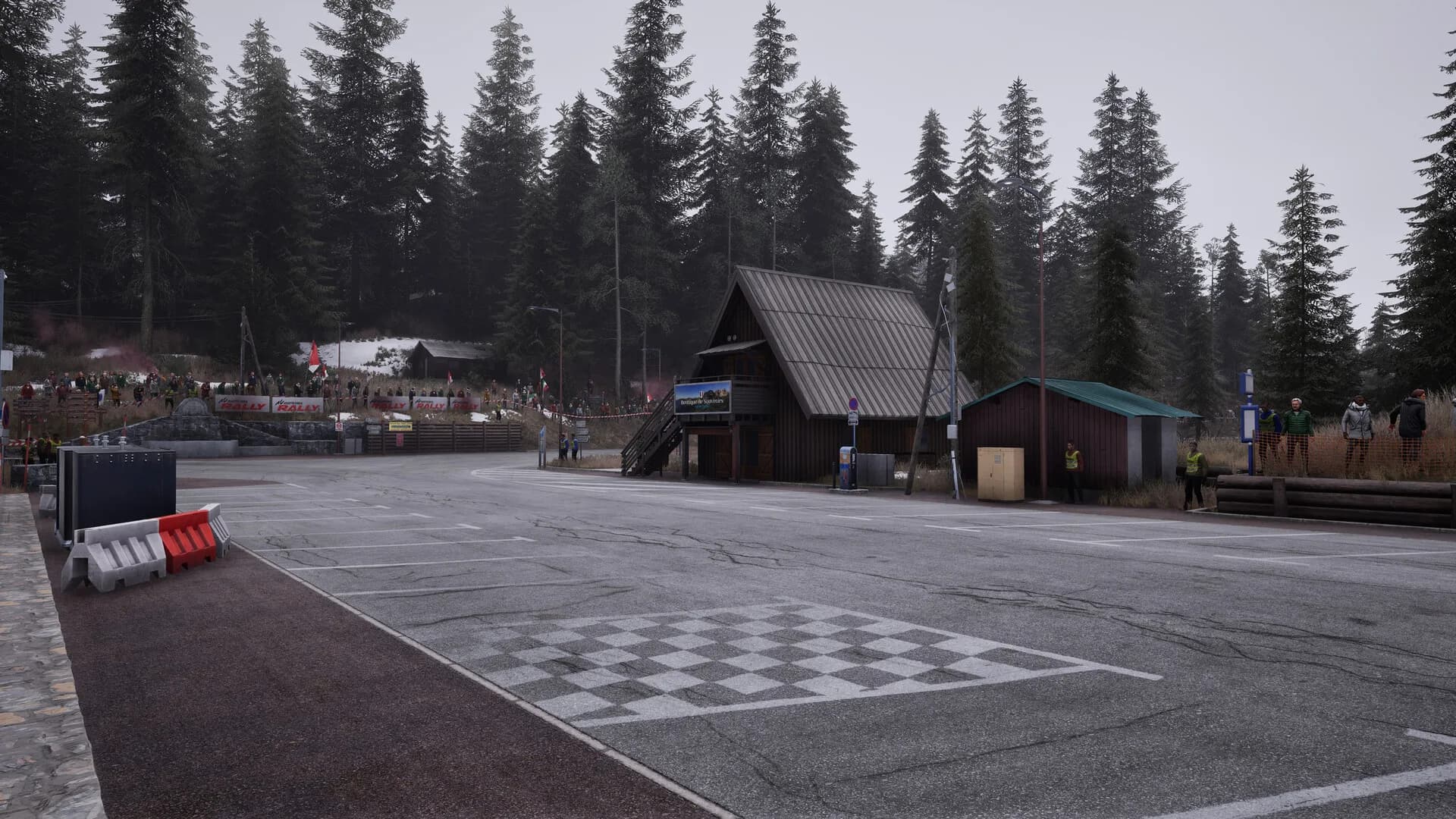 Assetto Corsa Rally görsel 7