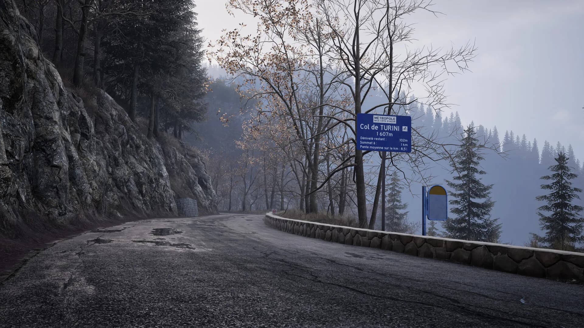 Assetto Corsa Rally görsel 8