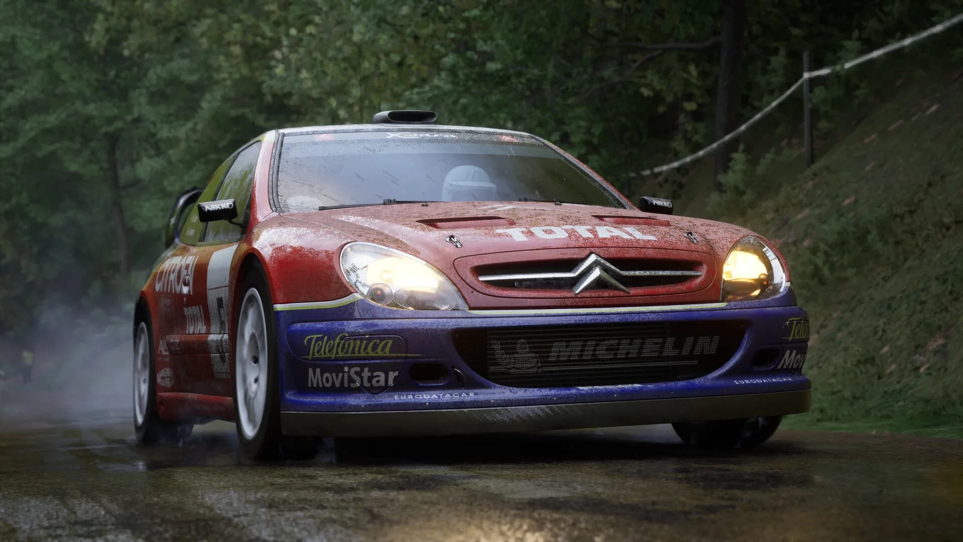 Assetto Corsa Rally görsel 66