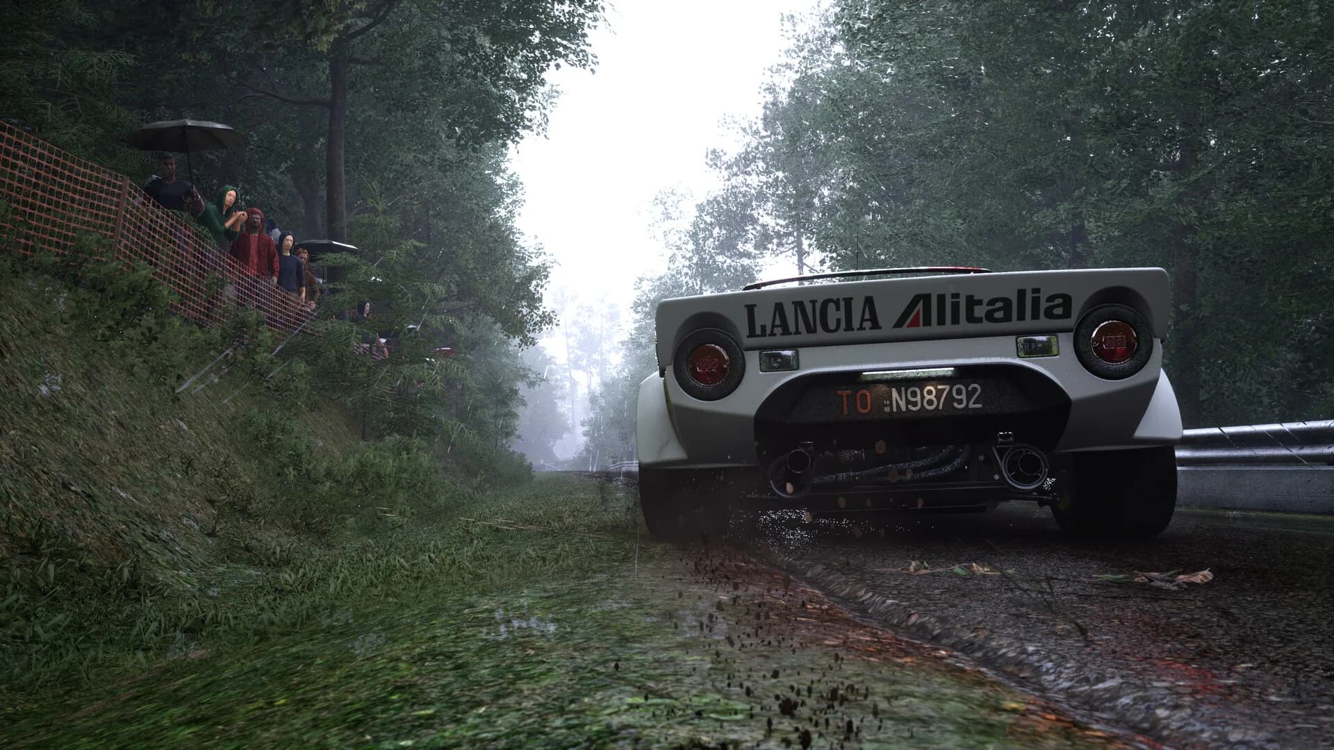 Assetto Corsa Rally görsel 67