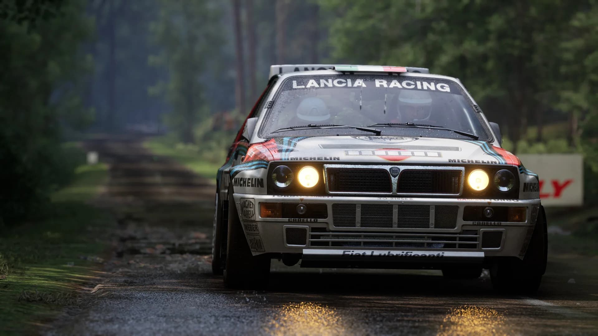 Assetto Corsa Rally görsel 69