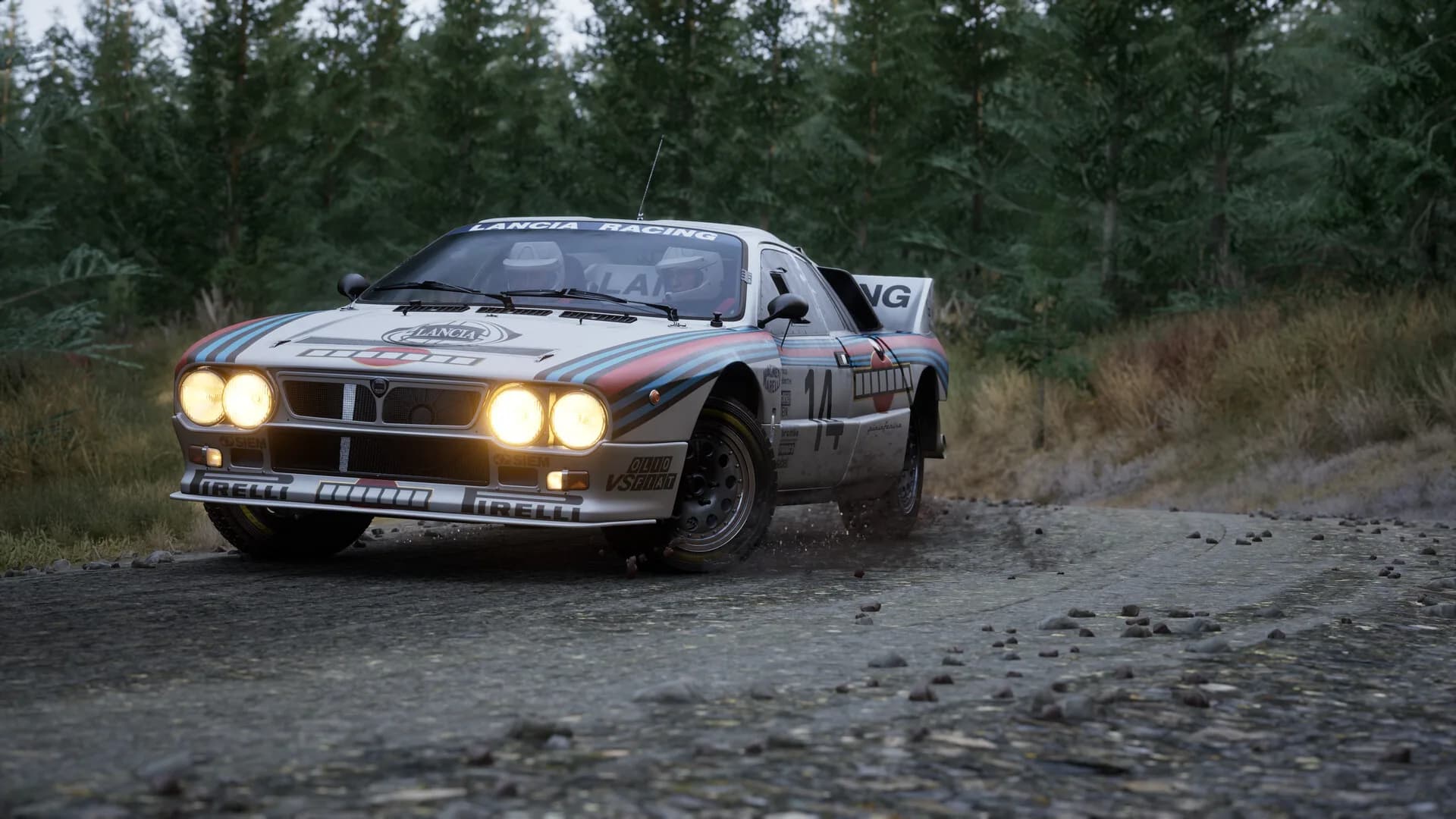 Assetto Corsa Rally görsel 73