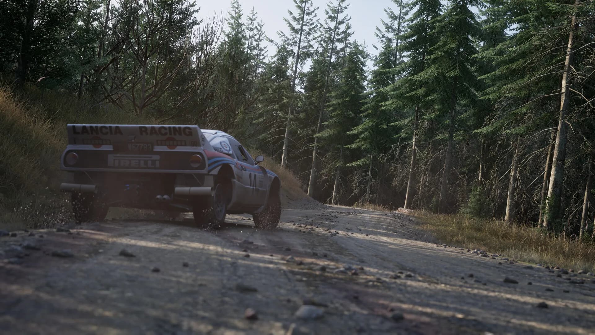 Assetto Corsa Rally görsel 75