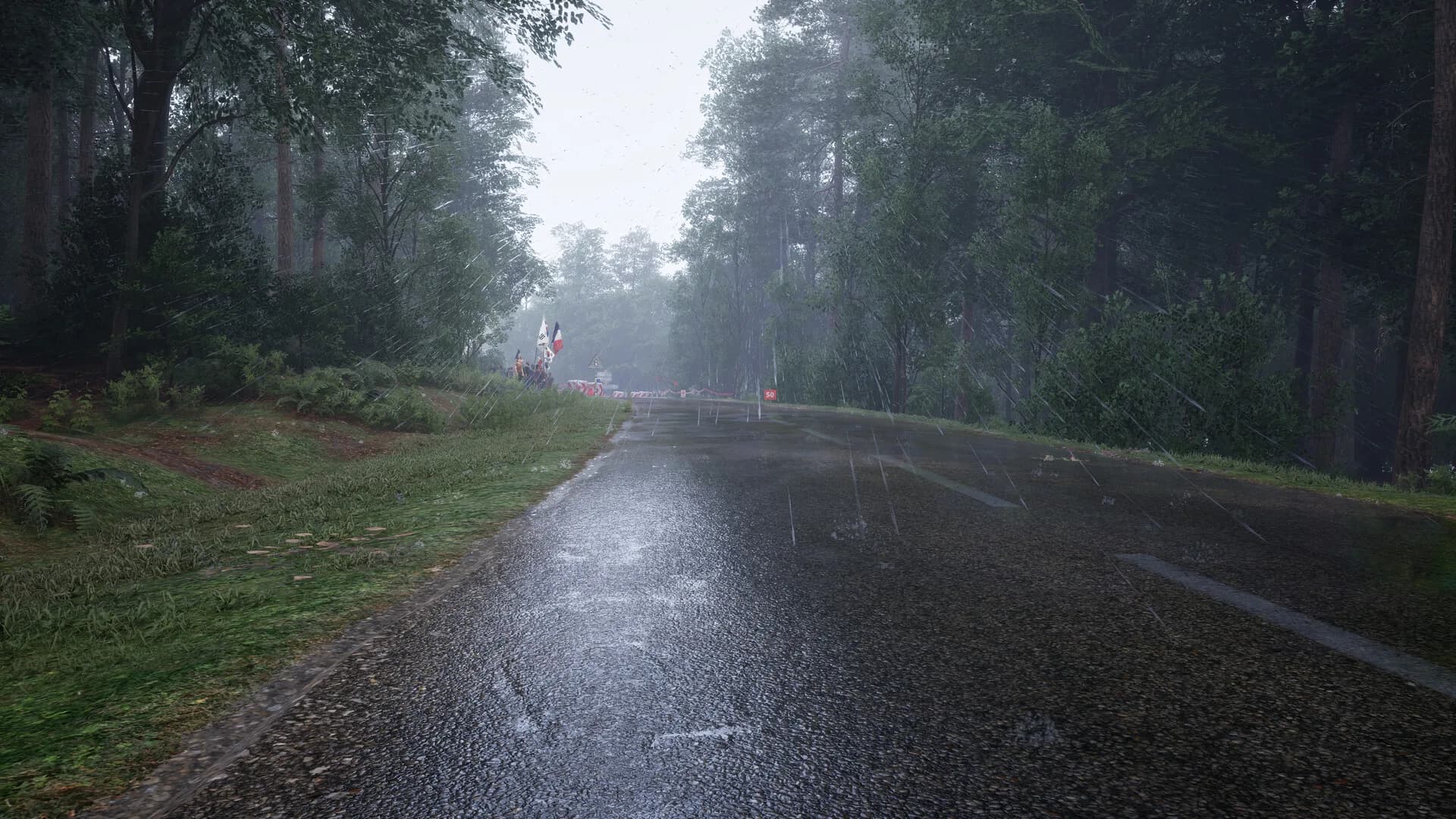 Assetto Corsa Rally görsel 79