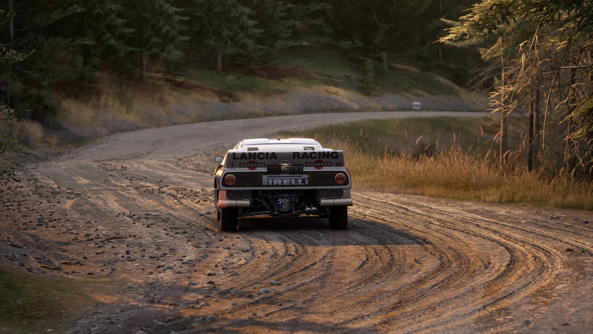 Assetto Corsa Rally görsel 80