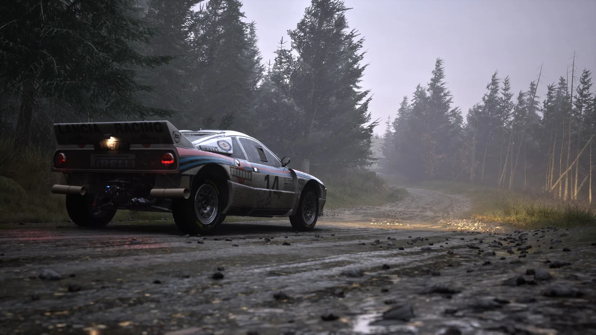 Assetto Corsa Rally görsel 81