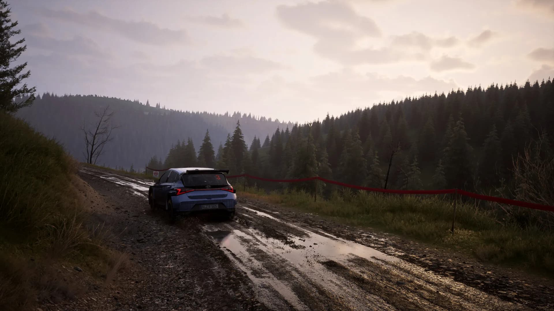 Assetto Corsa Rally görsel 88
