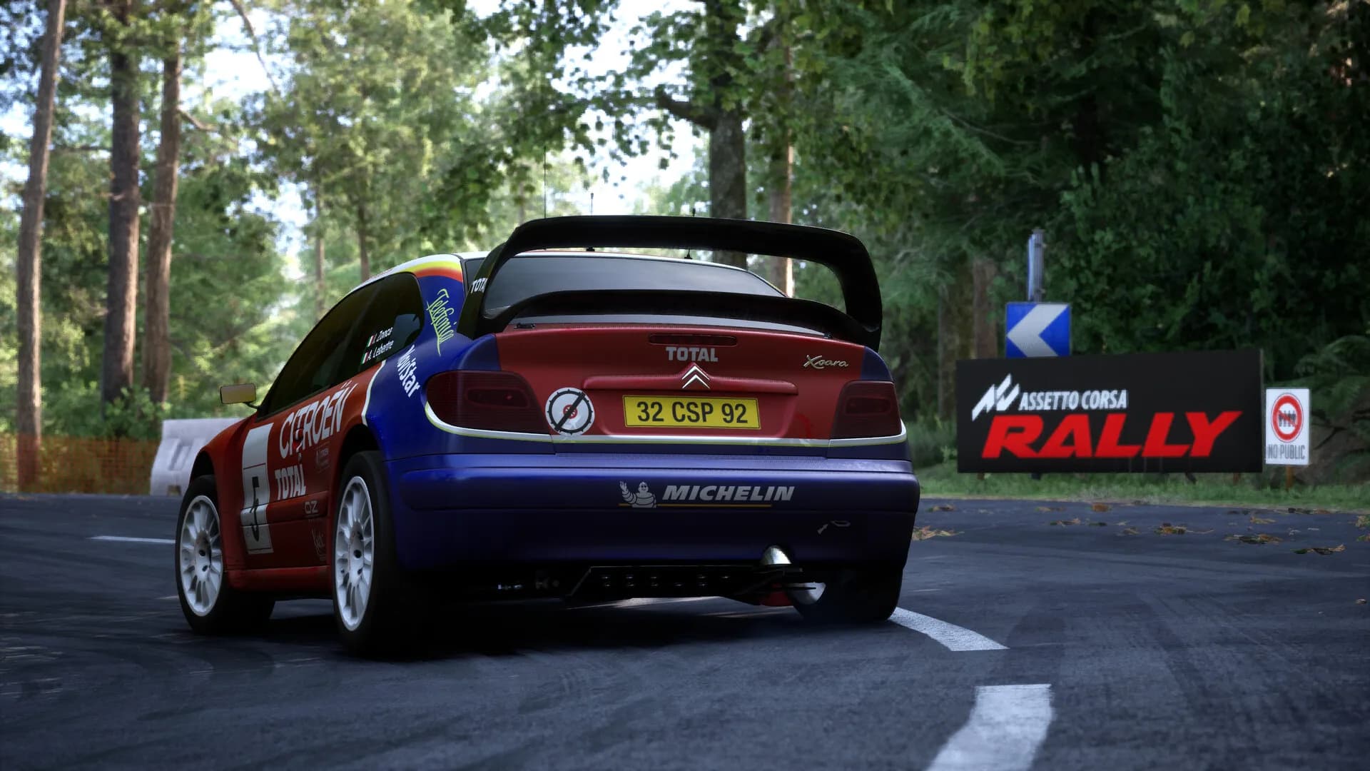 Assetto Corsa Rally görsel 90
