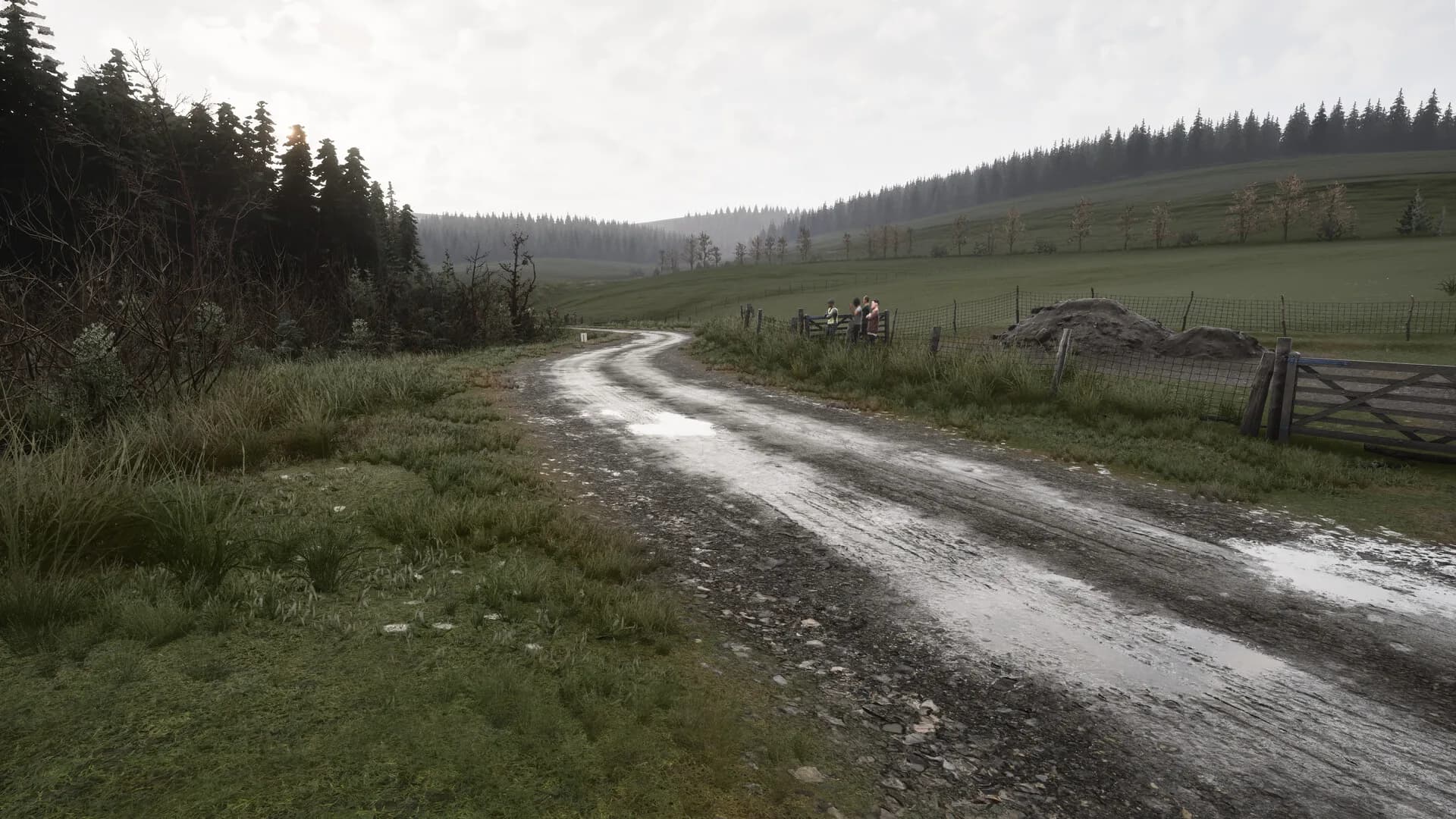 Assetto Corsa Rally görsel 94