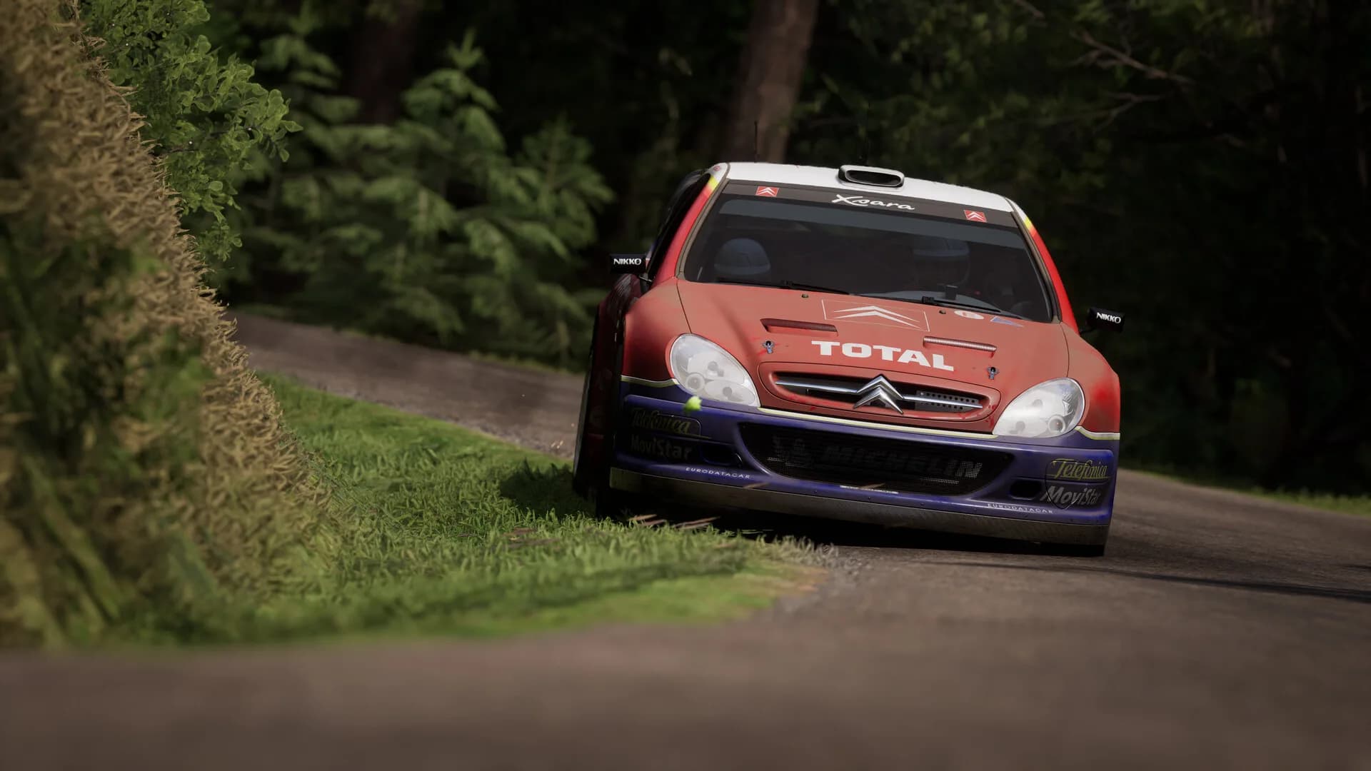 Assetto Corsa Rally görsel 95