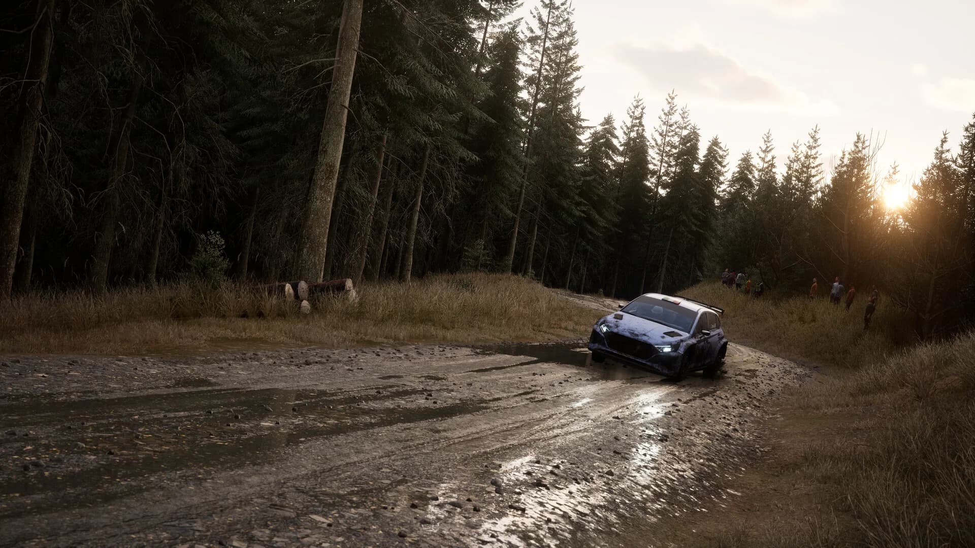 Assetto Corsa Rally görsel 99