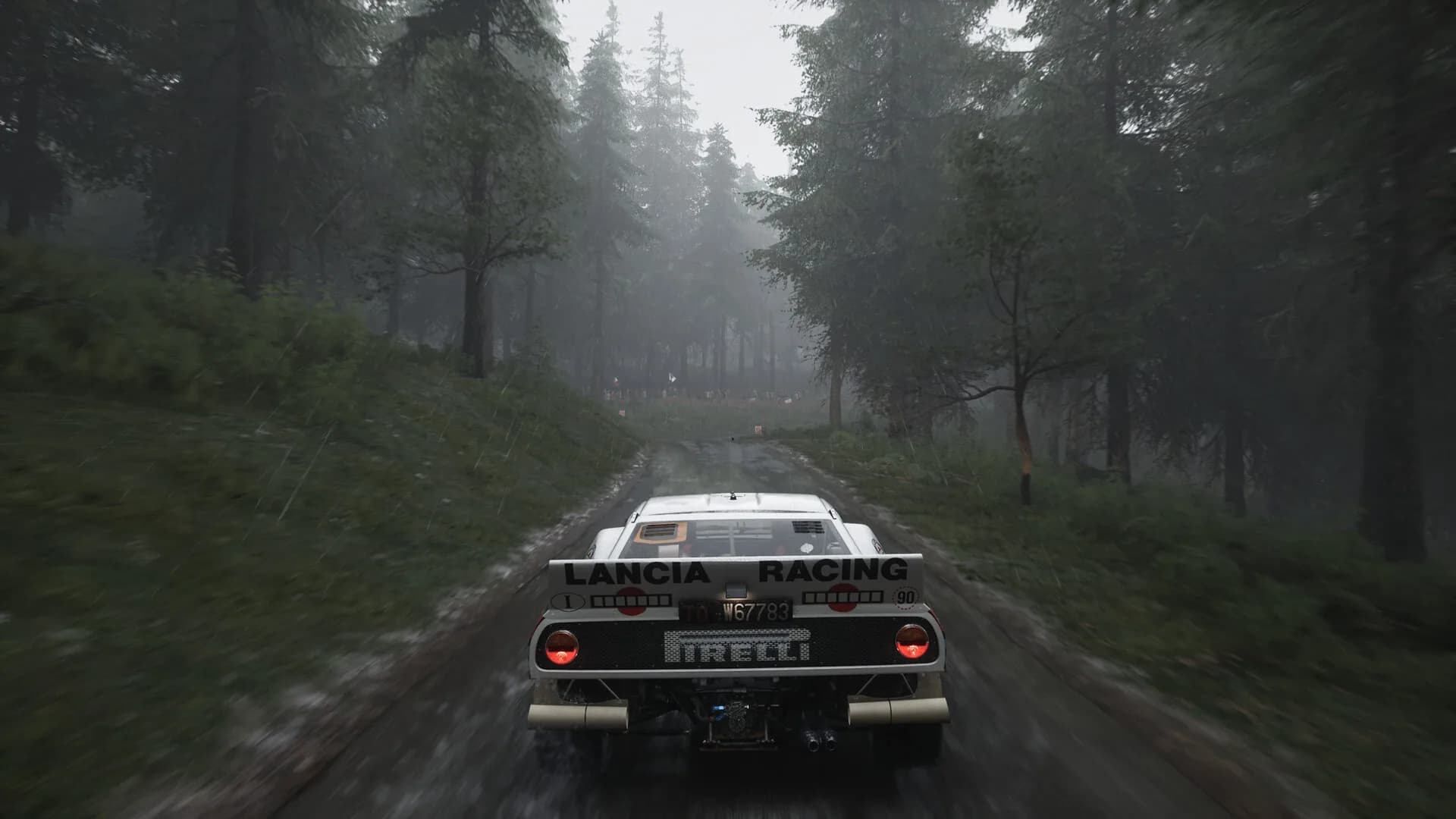 Assetto Corsa Rally görsel 101