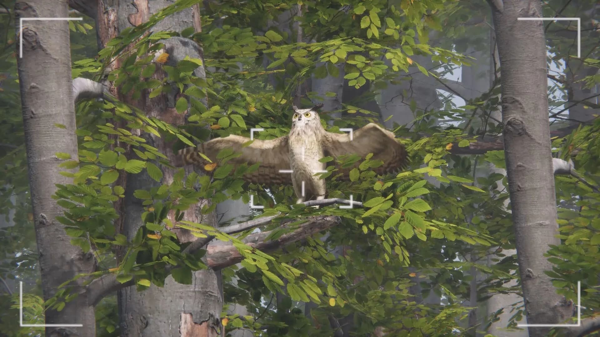 Eco Volunteer görsel 18