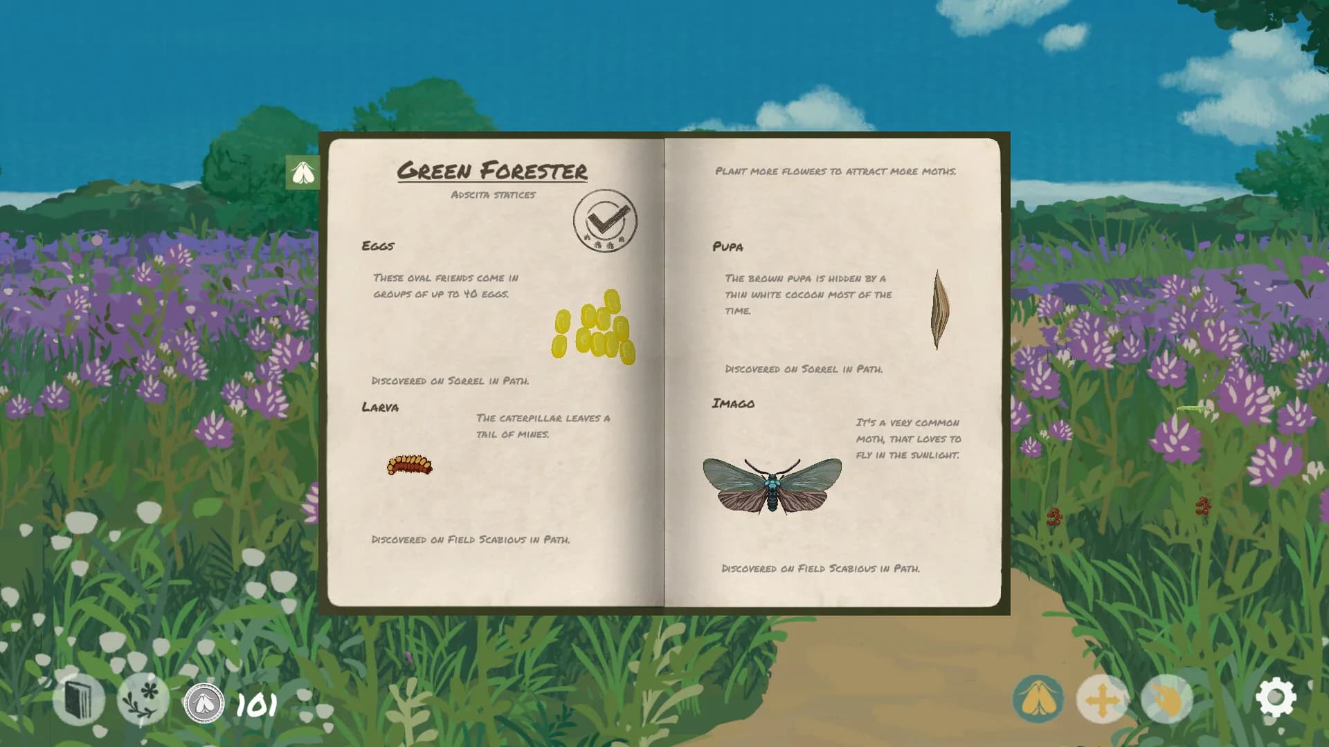 Mothkeep görsel 3