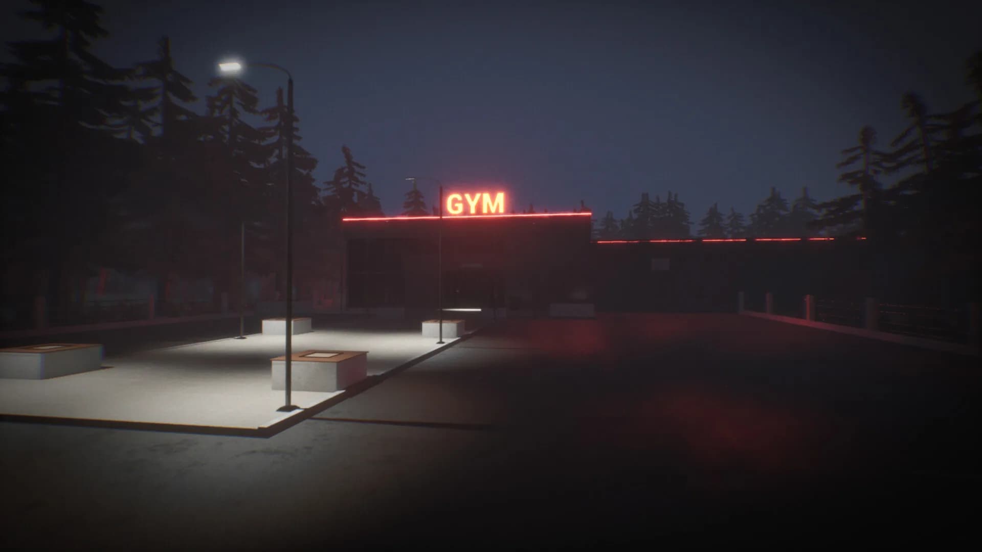 The Night Gym görsel 5