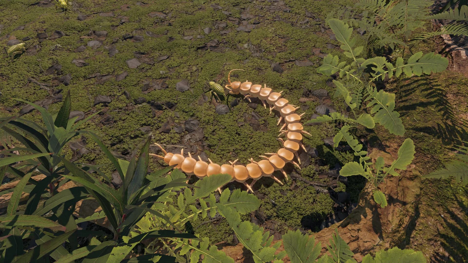 Centipede Simulator görsel 2