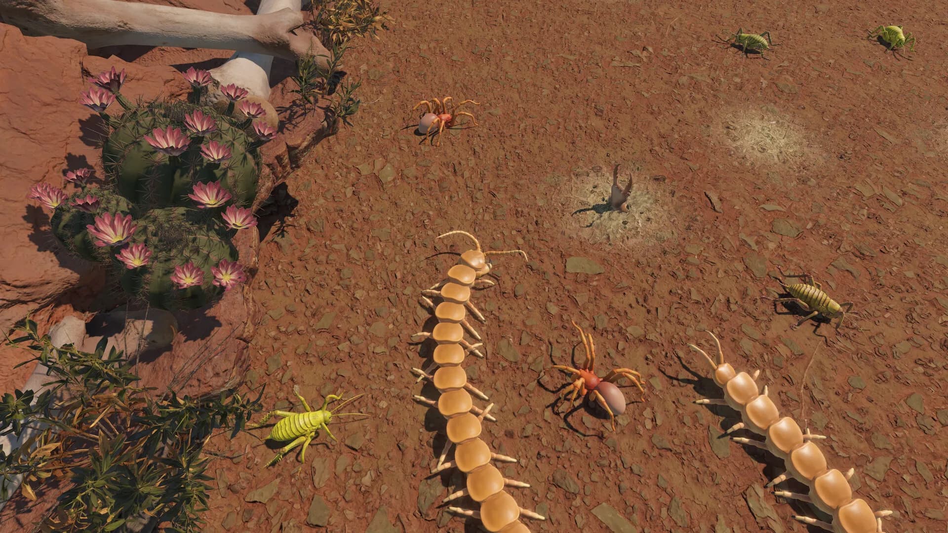 Centipede Simulator görsel 3