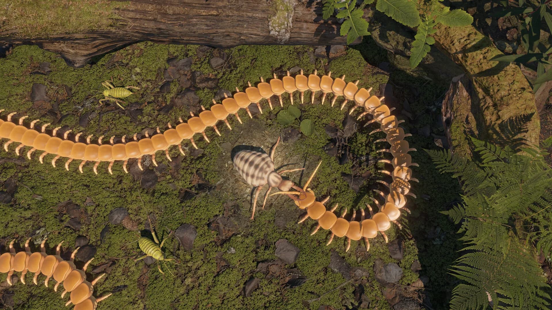 Centipede Simulator görsel 4