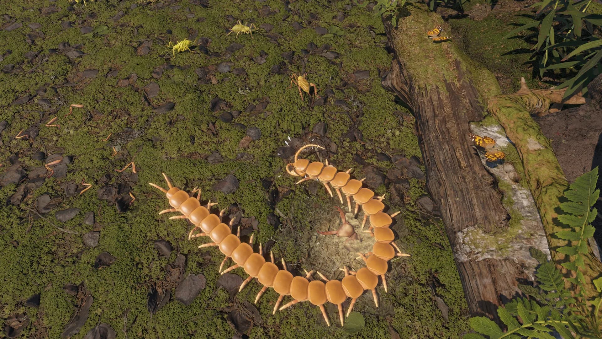 Centipede Simulator görsel 7