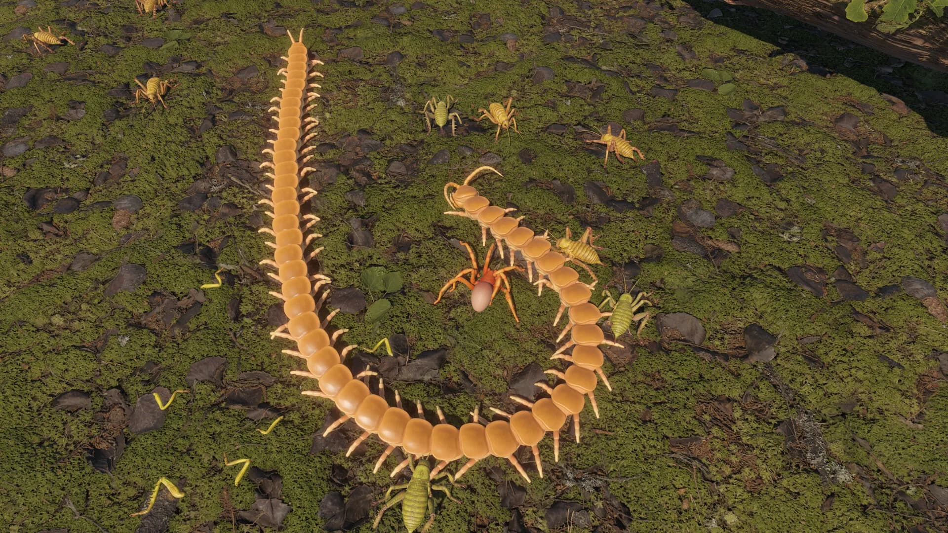 Centipede Simulator görsel 11