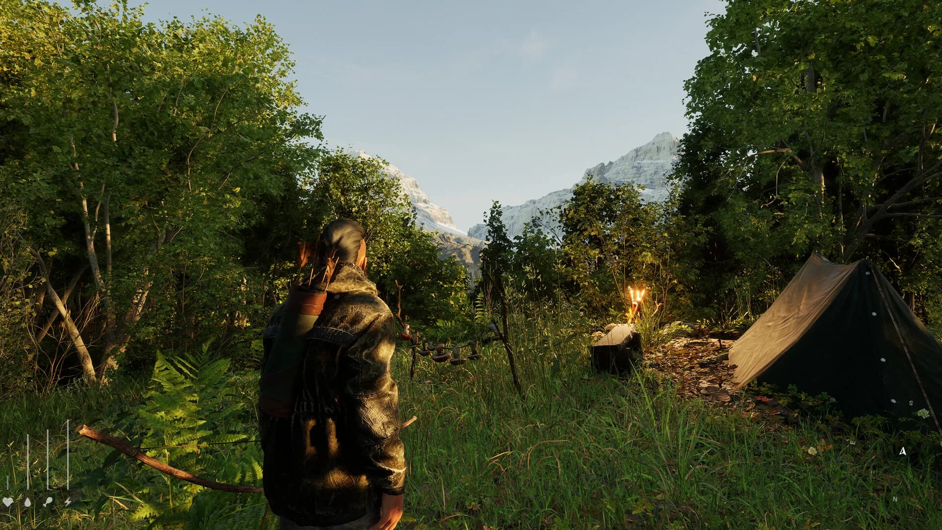 Forest Doesn’t Care görsel 11