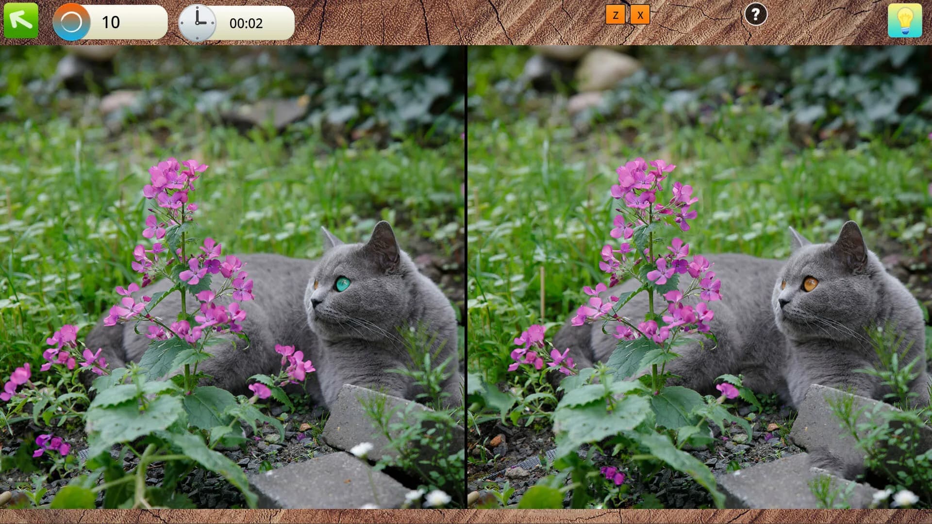 Peaceful Gardens 2: Cute Cats - Hidden Objects Collector's Edition görsel 3