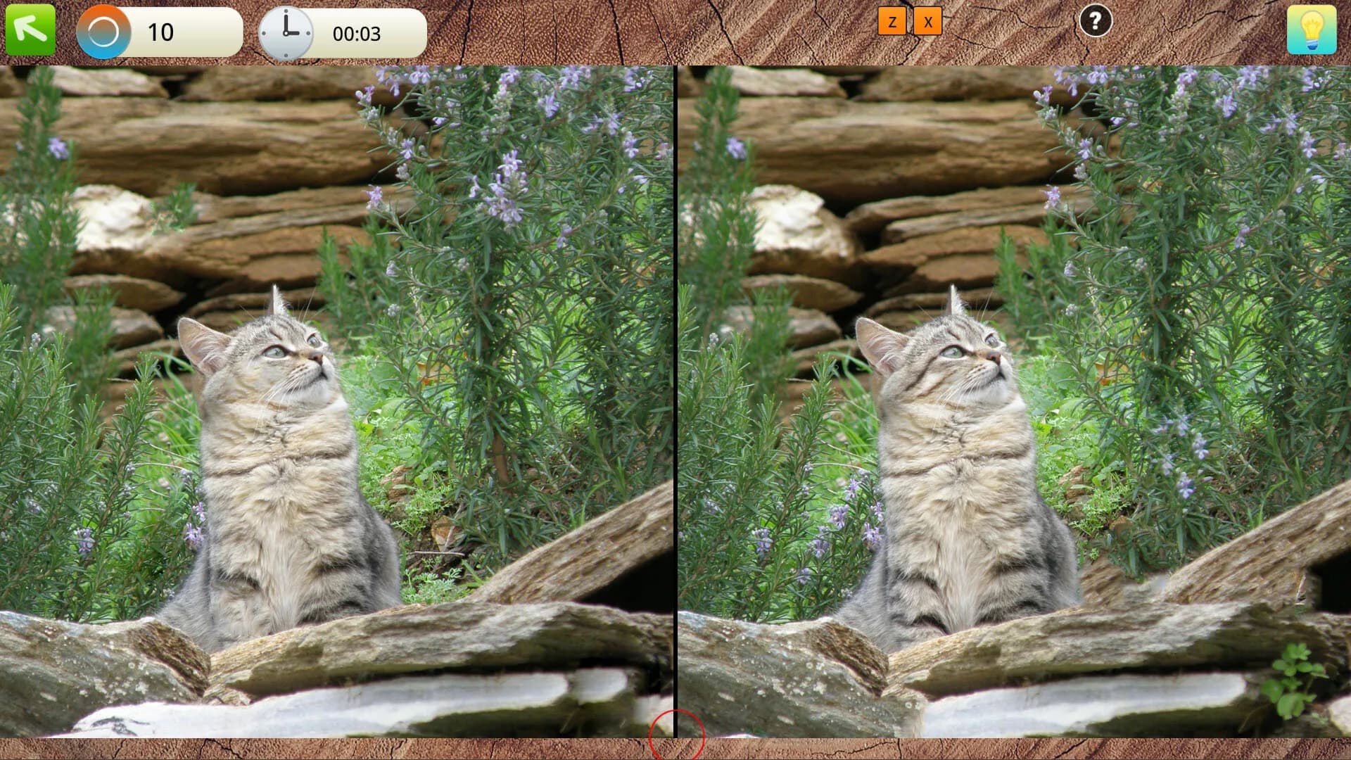 Peaceful Gardens 2: Cute Cats - Hidden Objects Collector's Edition görsel 7