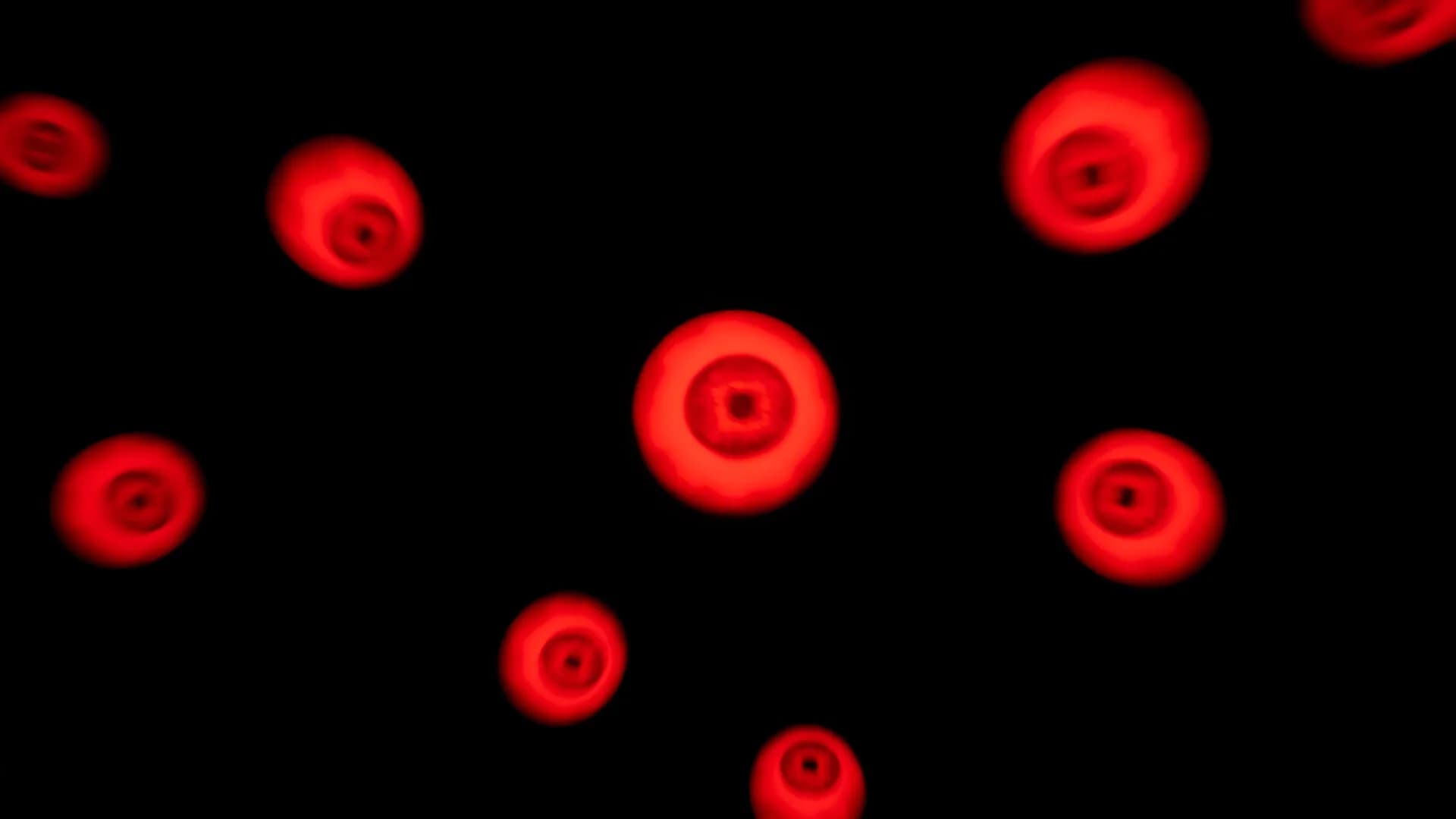 Echo Maze görsel 5