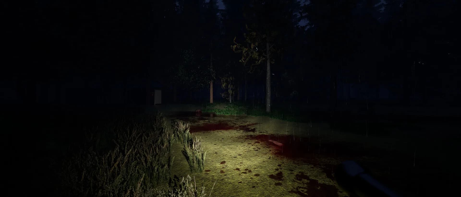Find Me görsel 3