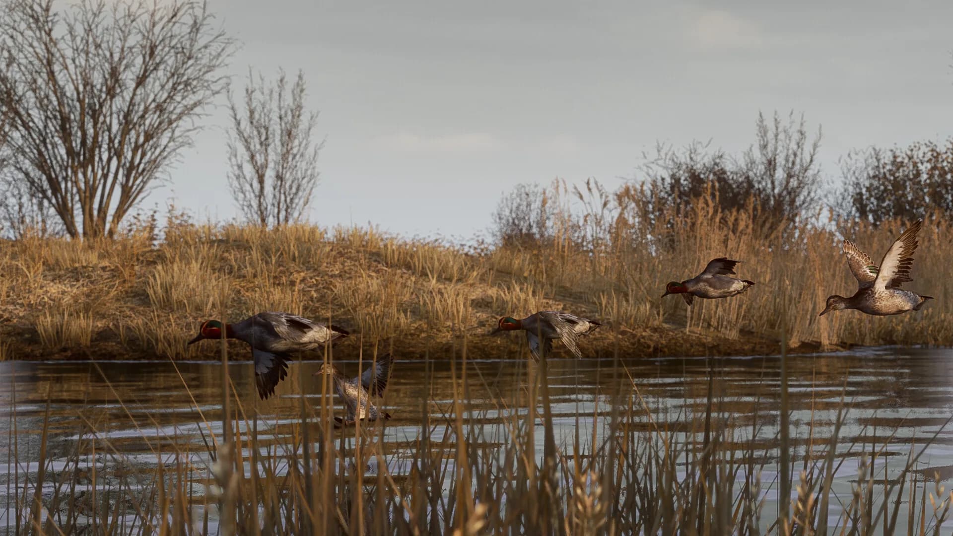 BULT: Hunting simulator görsel 3