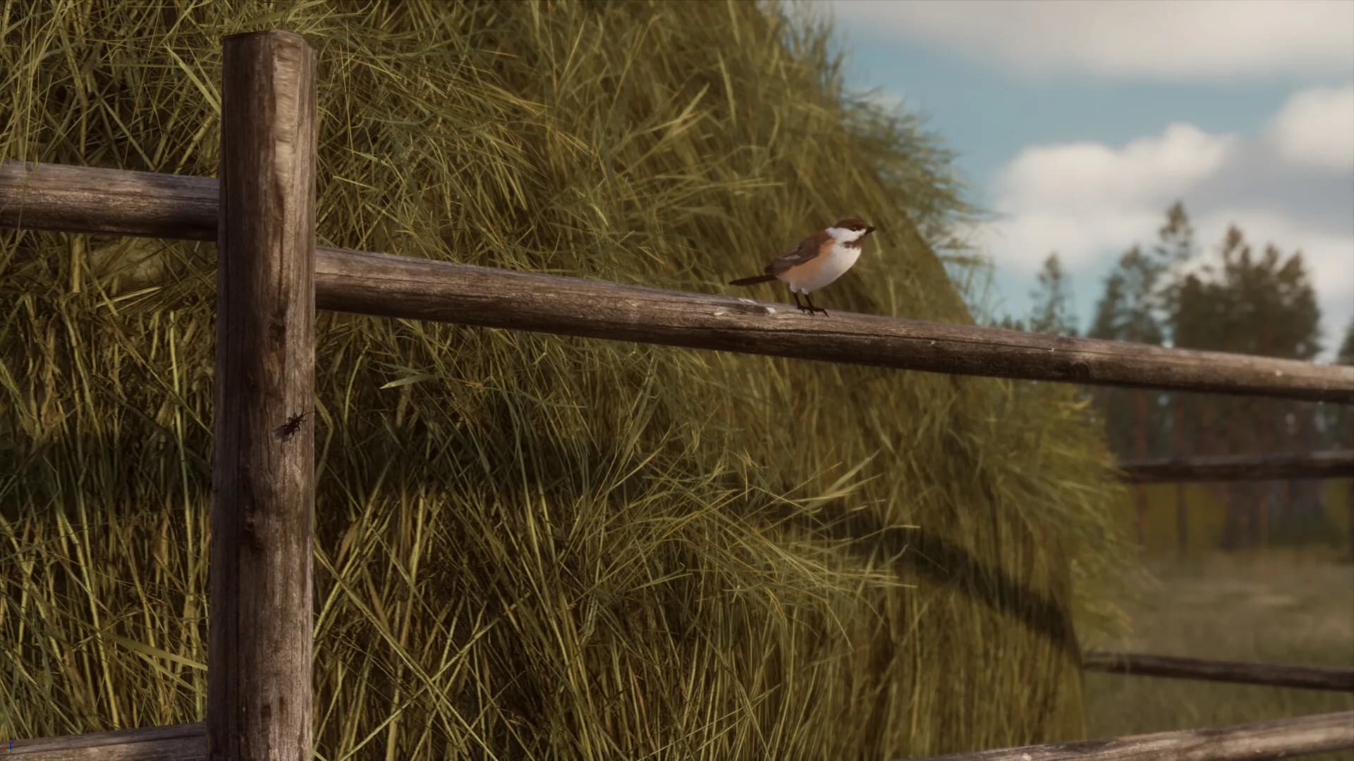 BULT: Hunting simulator görsel 12