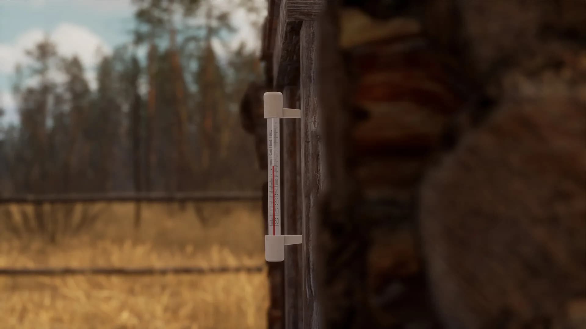 BULT: Hunting simulator görsel 13