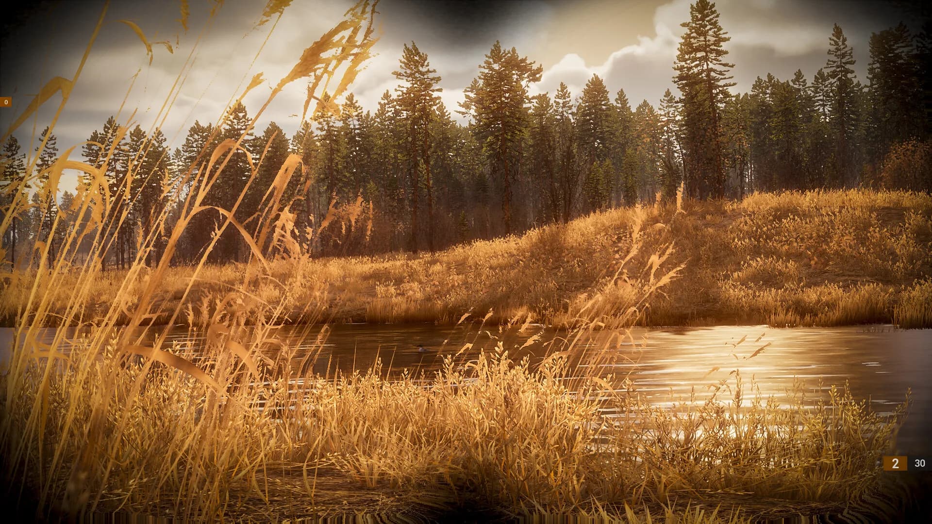 BULT: Hunting simulator görsel 6