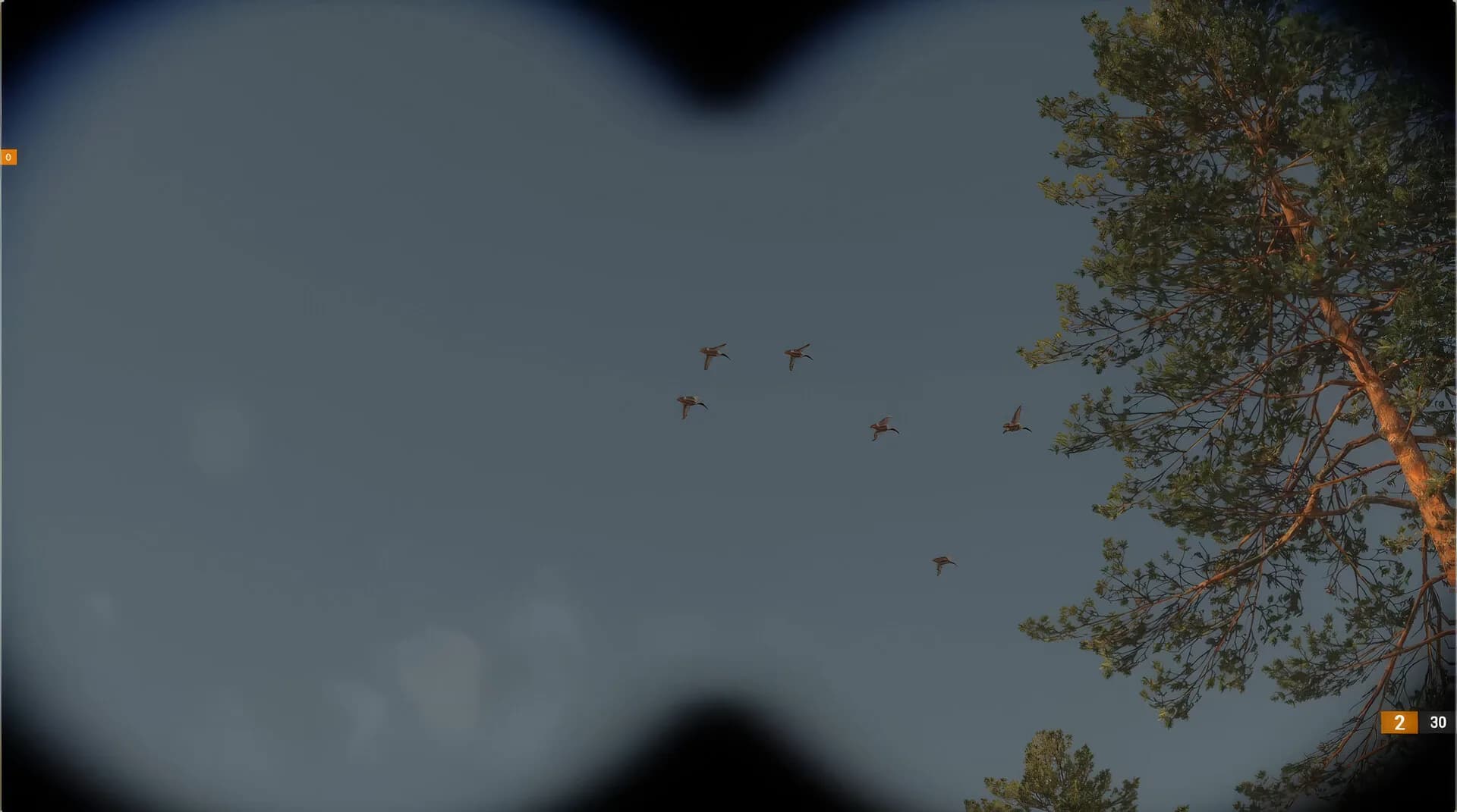 BULT: Hunting simulator görsel 7