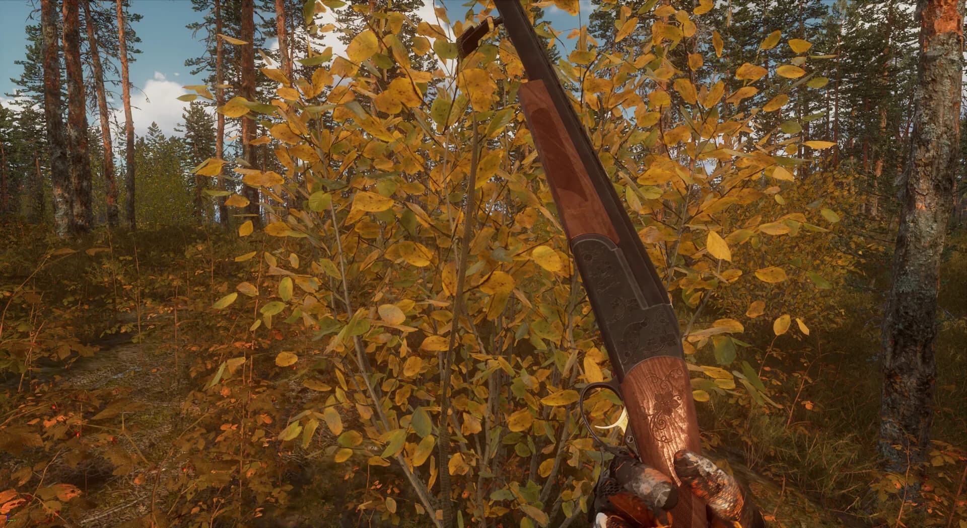 BULT: Hunting simulator görsel 10