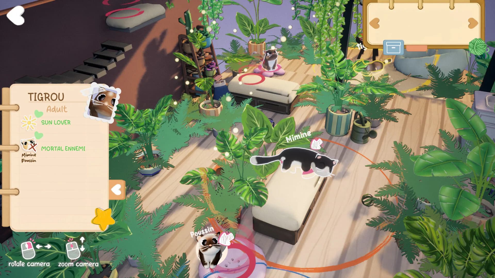 Kitty Haven görsel 2