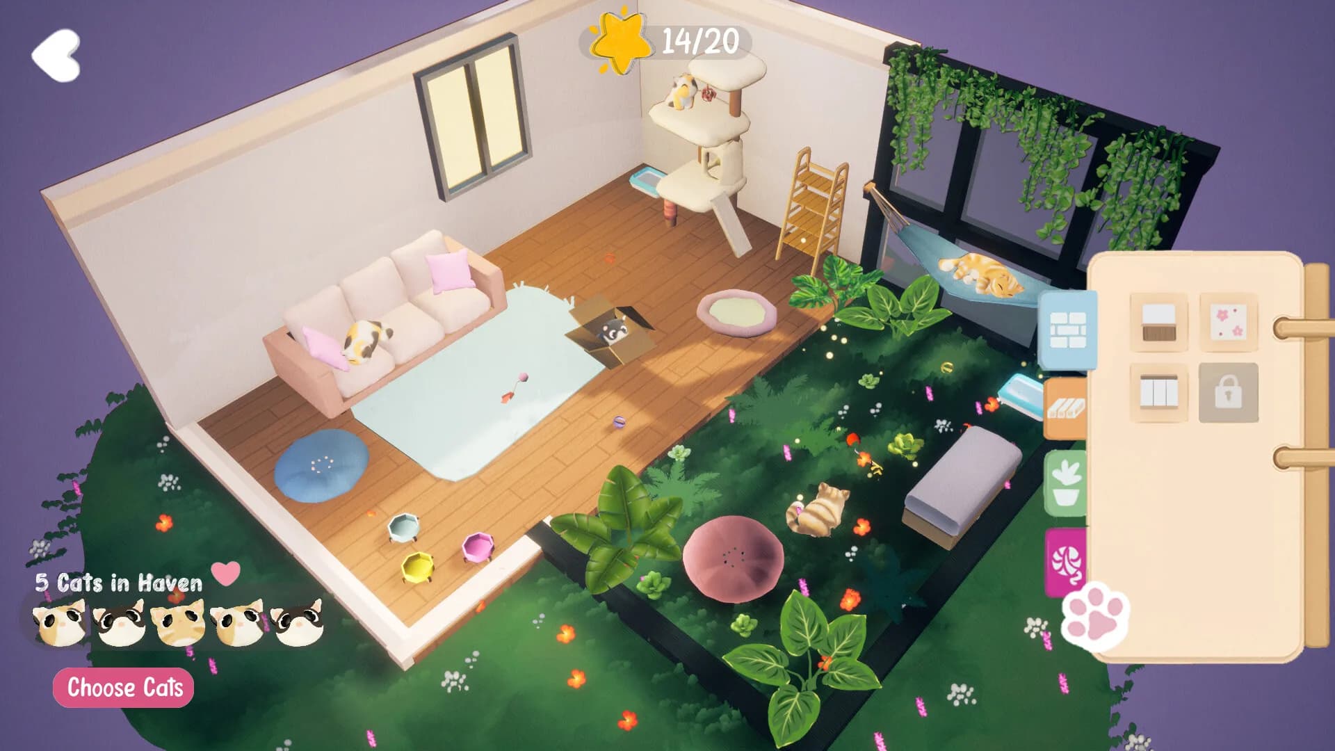 Kitty Haven görsel 3