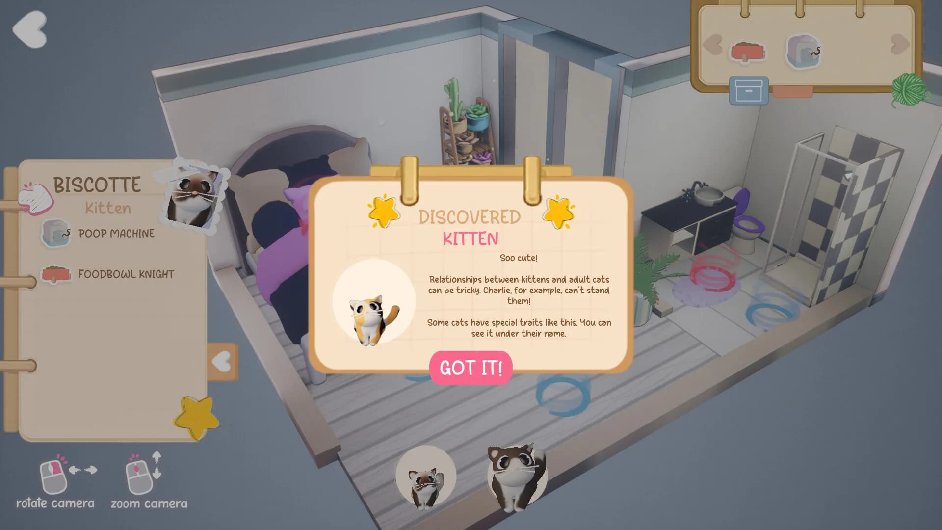 Kitty Haven görsel 5