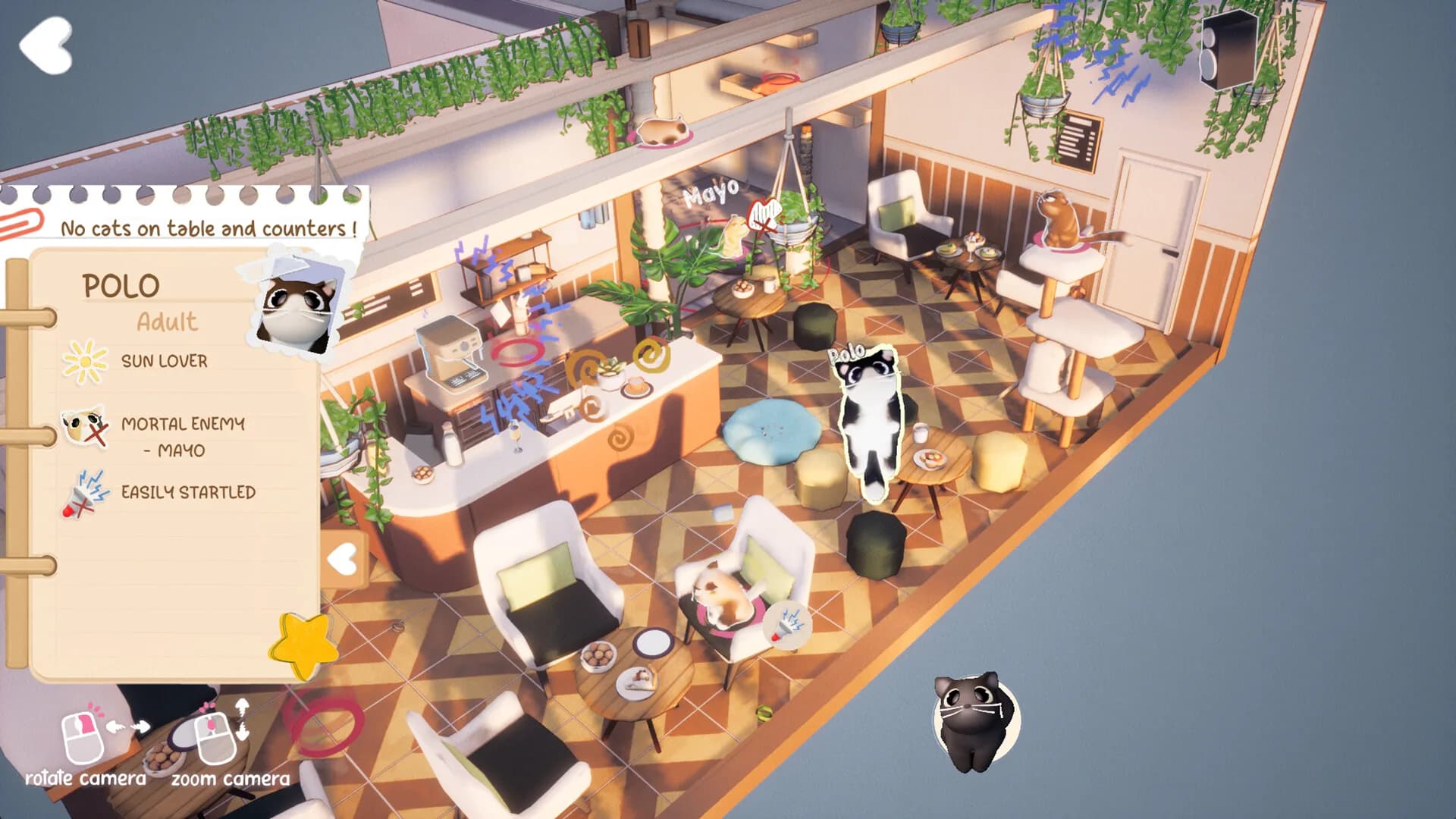 Kitty Haven görsel 7