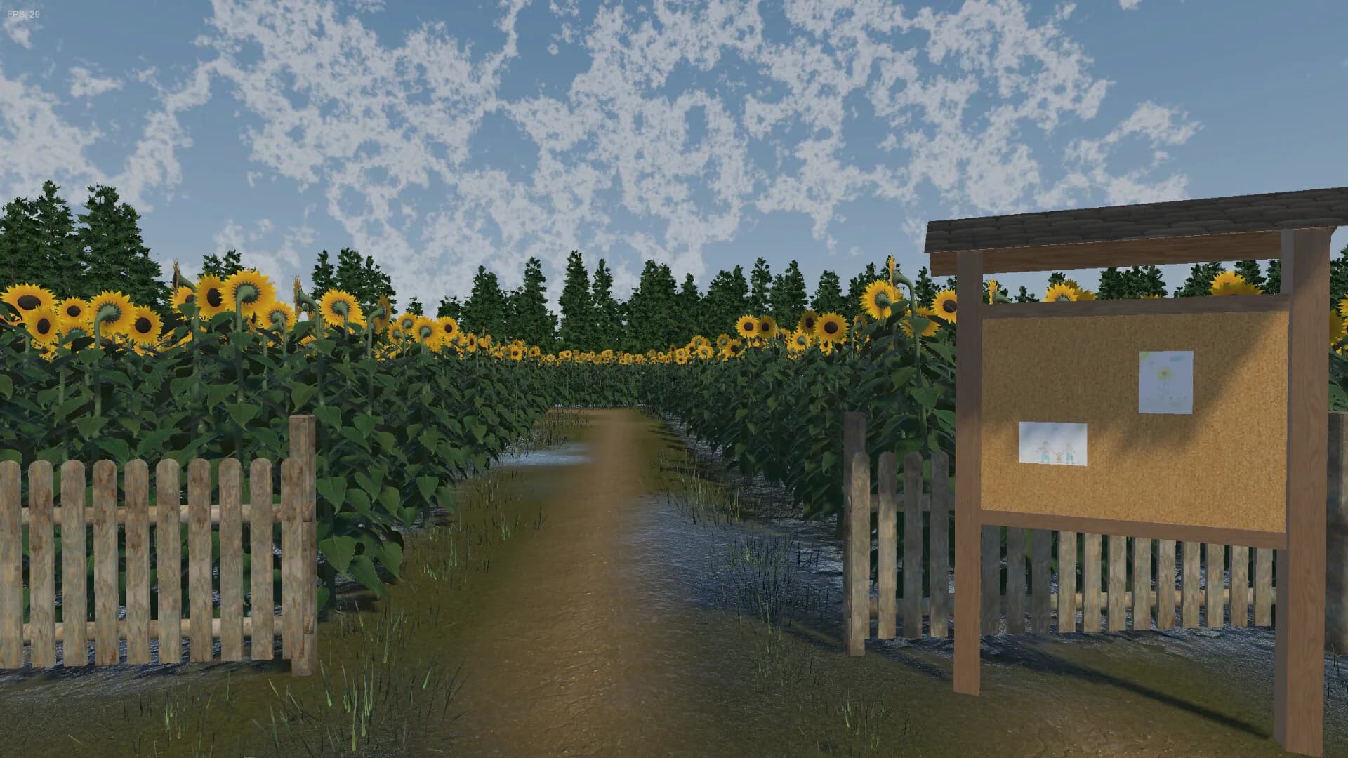The Path of the Sunflower görsel 2