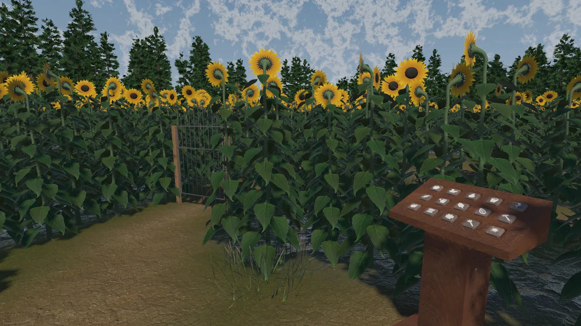 The Path of the Sunflower görsel 4