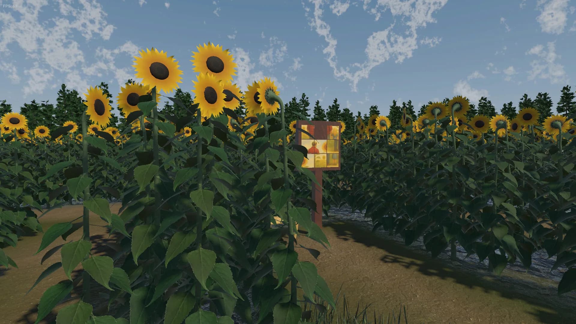 The Path of the Sunflower görsel 6