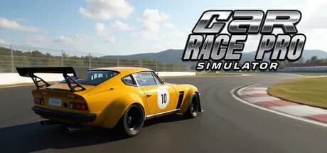 Car Race Pro Simulator görsel 1