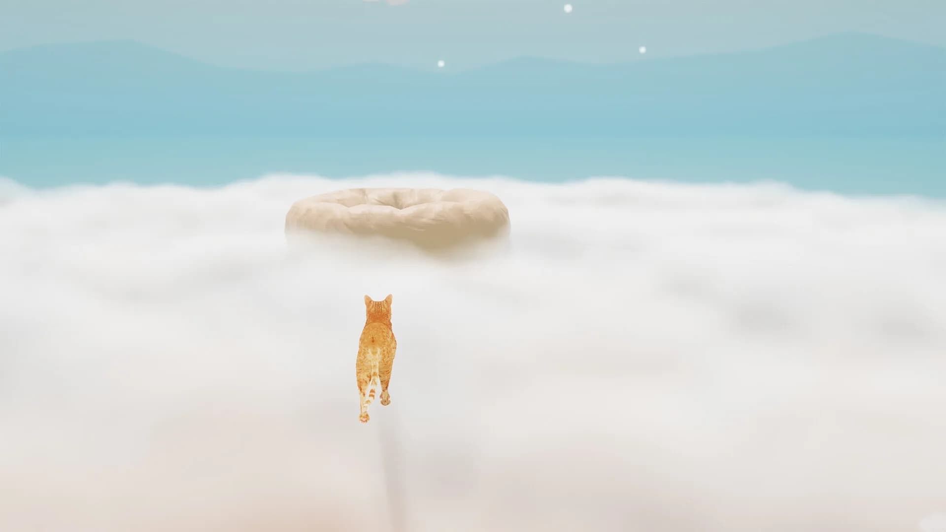 Cat's Rage görsel 6