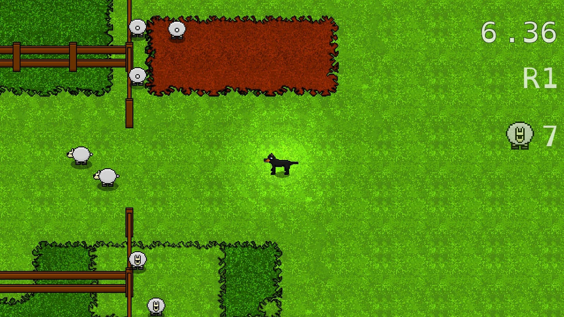 Bush Dog görsel 2