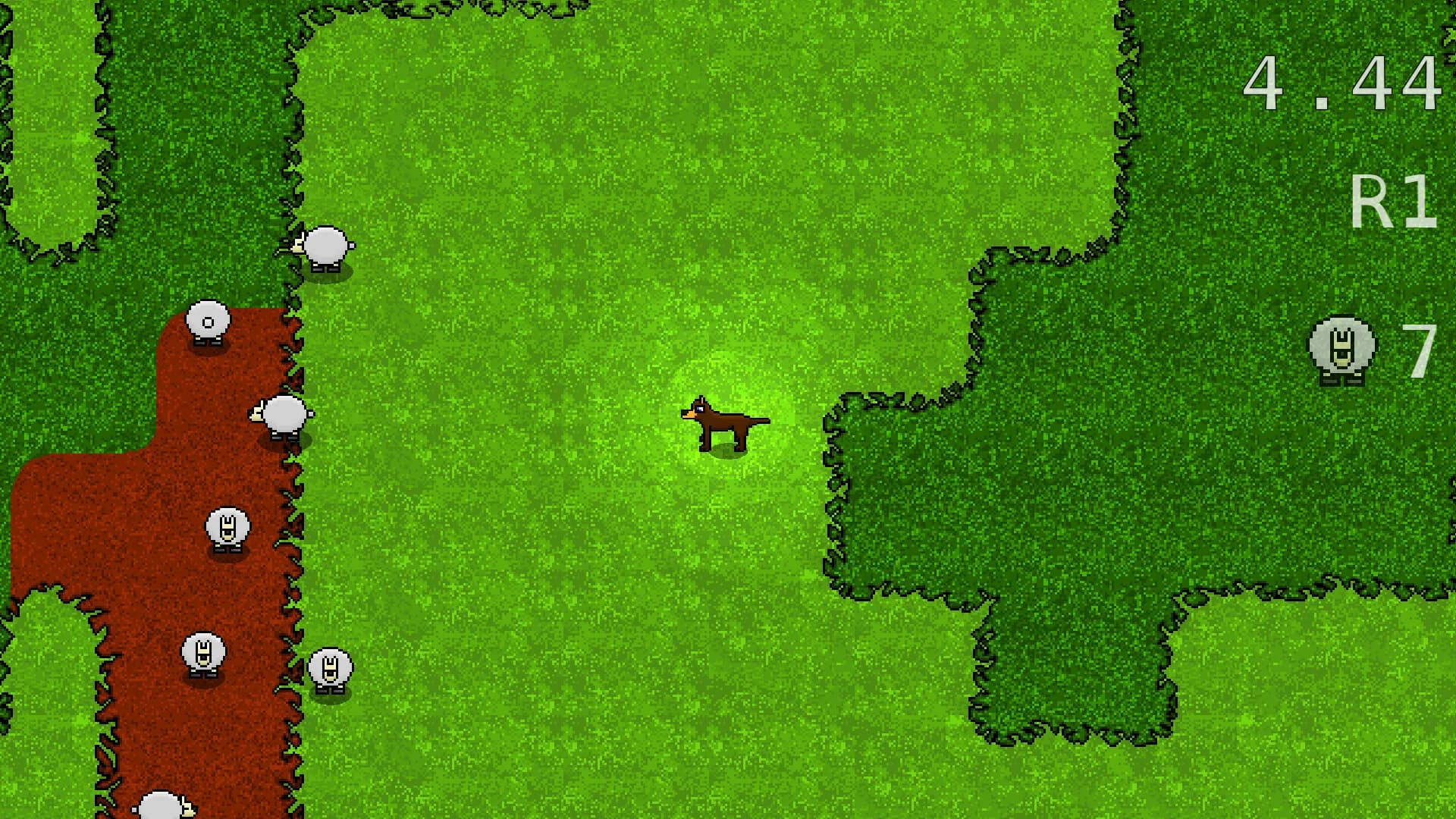 Bush Dog görsel 6