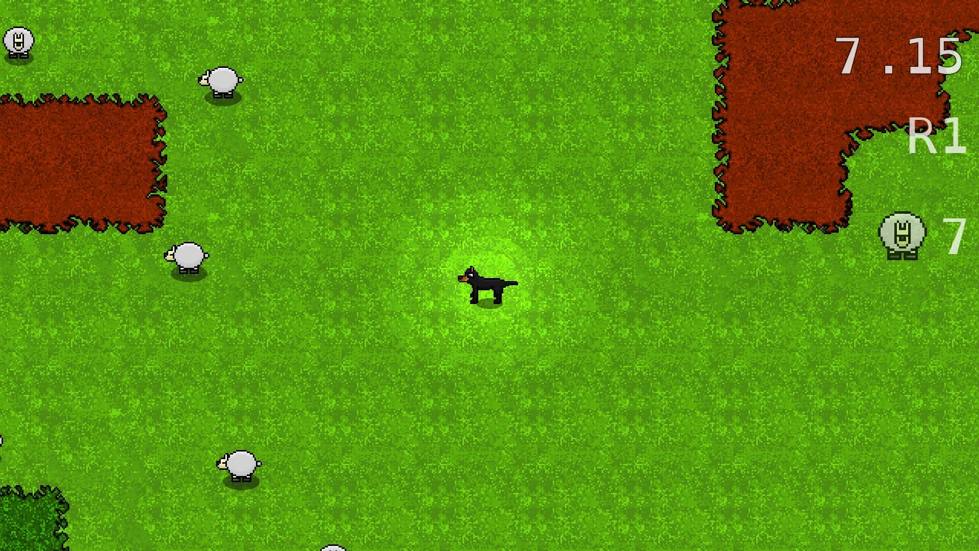 Bush Dog görsel 9