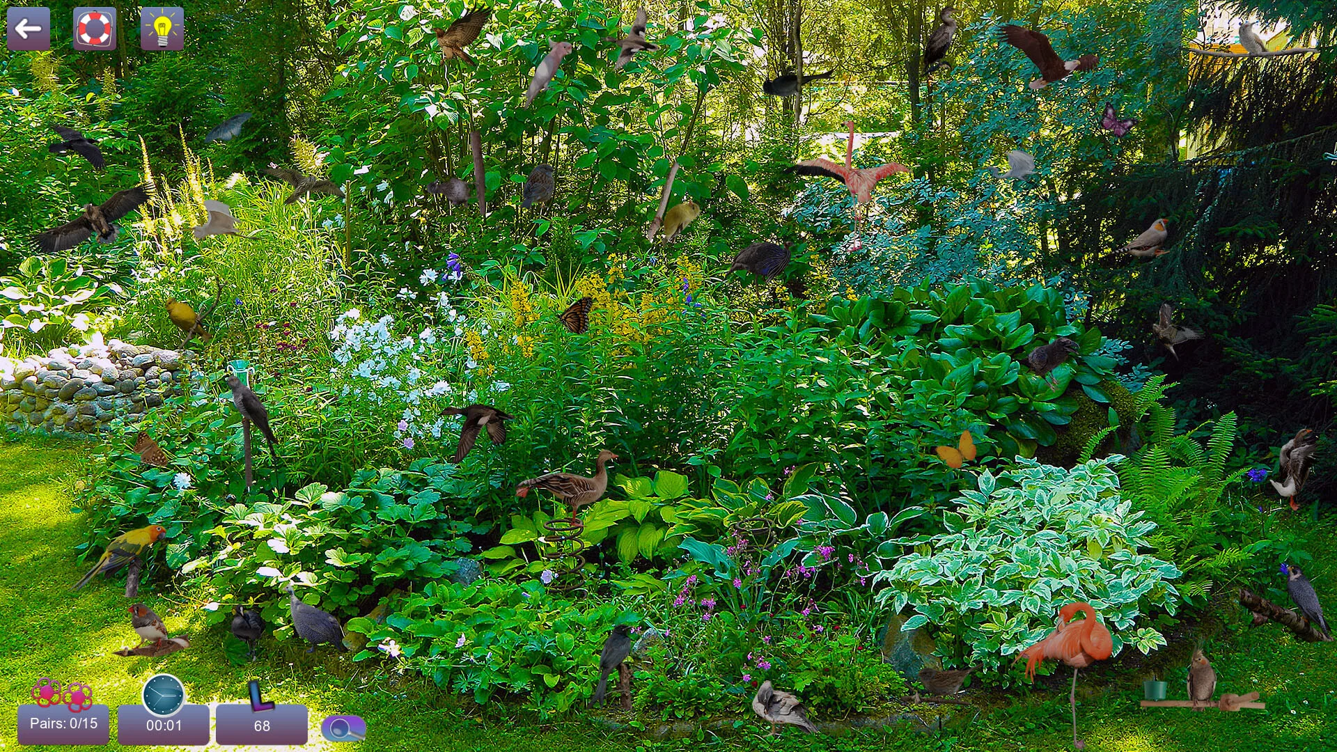 Hidden Pairs 3: Lovely Birds - Hidden Objects görsel 3